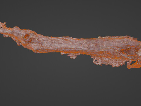 Broken Tree 3D 模型