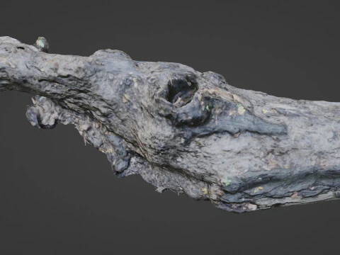 Broken Tree 3D Model