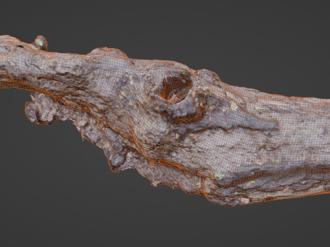 Broken Tree 3D 模型