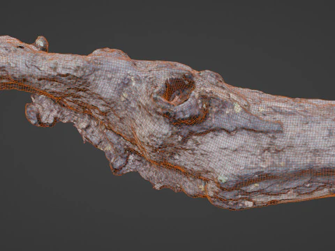 Broken Tree 3D Model