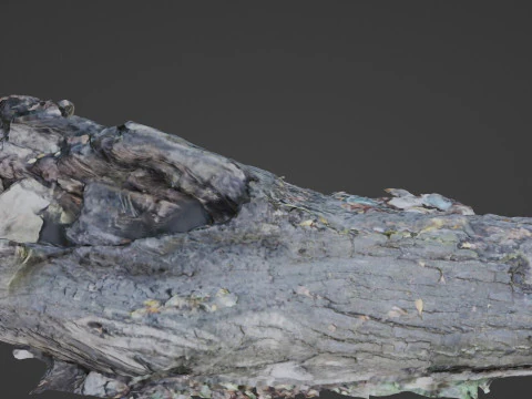 Broken Tree 3D Model