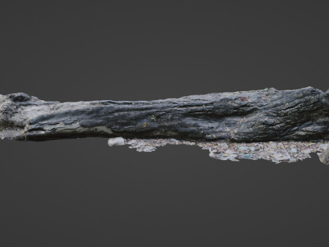 Broken Tree 3D 模型
