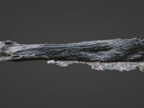 Broken Tree 3D Model