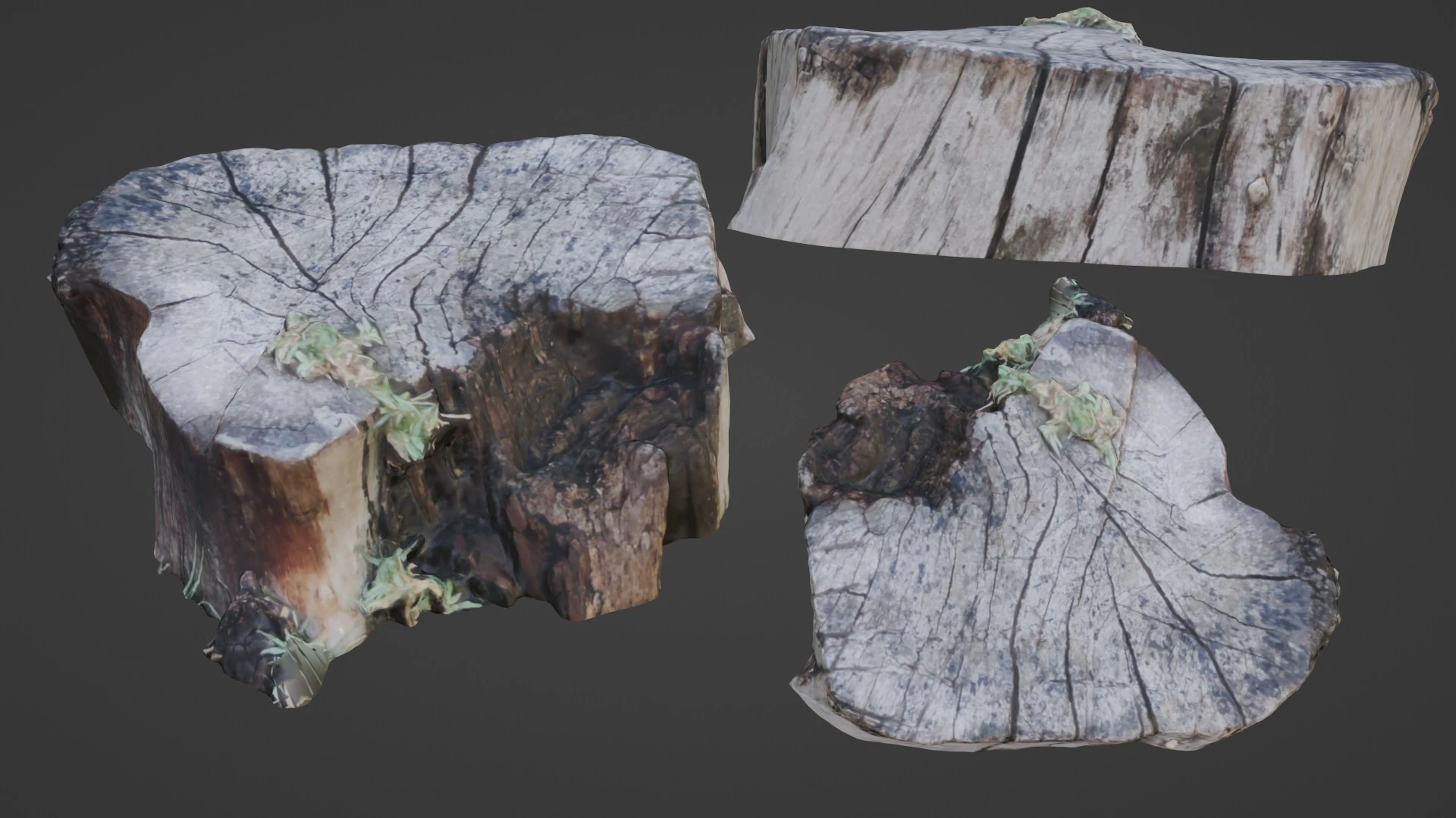 Stump 3D Model .c4d .max .obj .3ds .fbx .stl .blend 