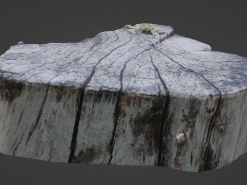 Stump 3D Model