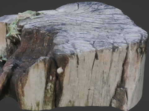 Stump 3D Model