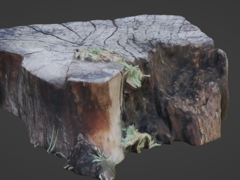 Stump 3D Model