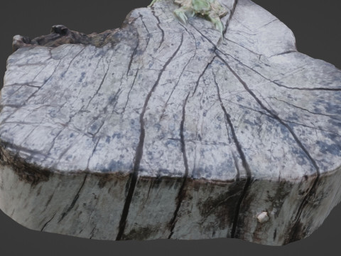 Stump 3D Model