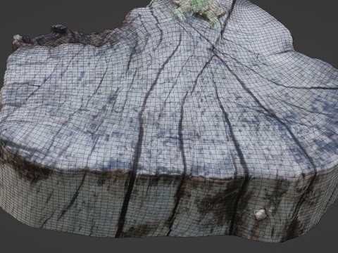 Stump 3D Model