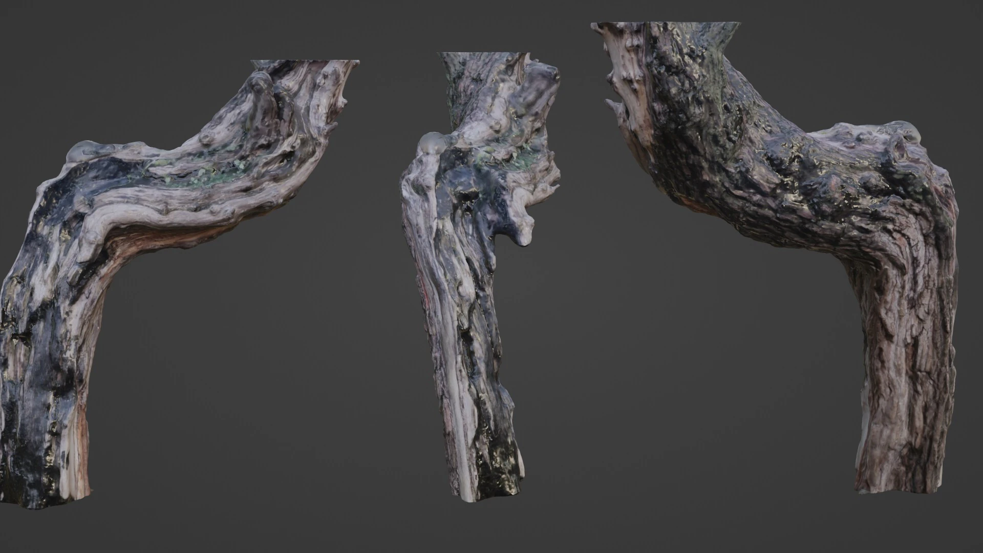 Fantsy Tree 3D Model .c4d .max .obj .3ds .fbx .stl .blend 