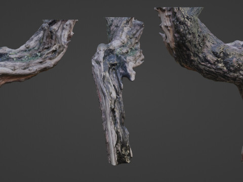 Fantsy Tree 3D Model
