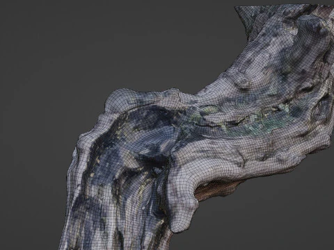 Fantsy Tree 3D Model