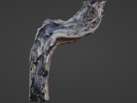 Fantsy Tree Modelo 3D