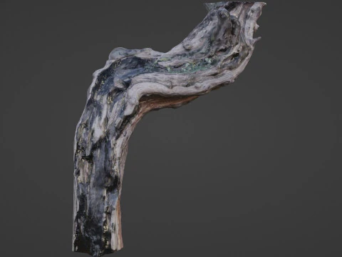 Fantsy Tree 3D Model