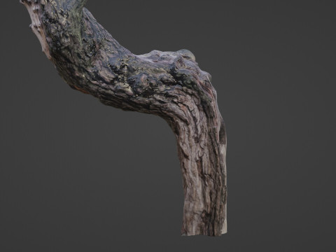 Fantsy Tree Modelo 3D