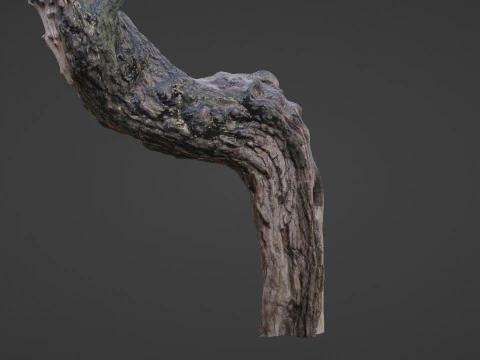 Fantsy Tree 3D Model