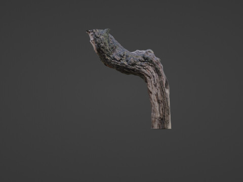 Fantsy Tree Modelo 3D