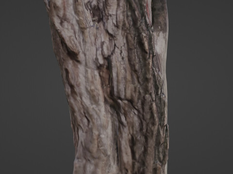 Fantsy Tree Modelo 3D