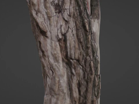 Fantsy Tree 3D Model