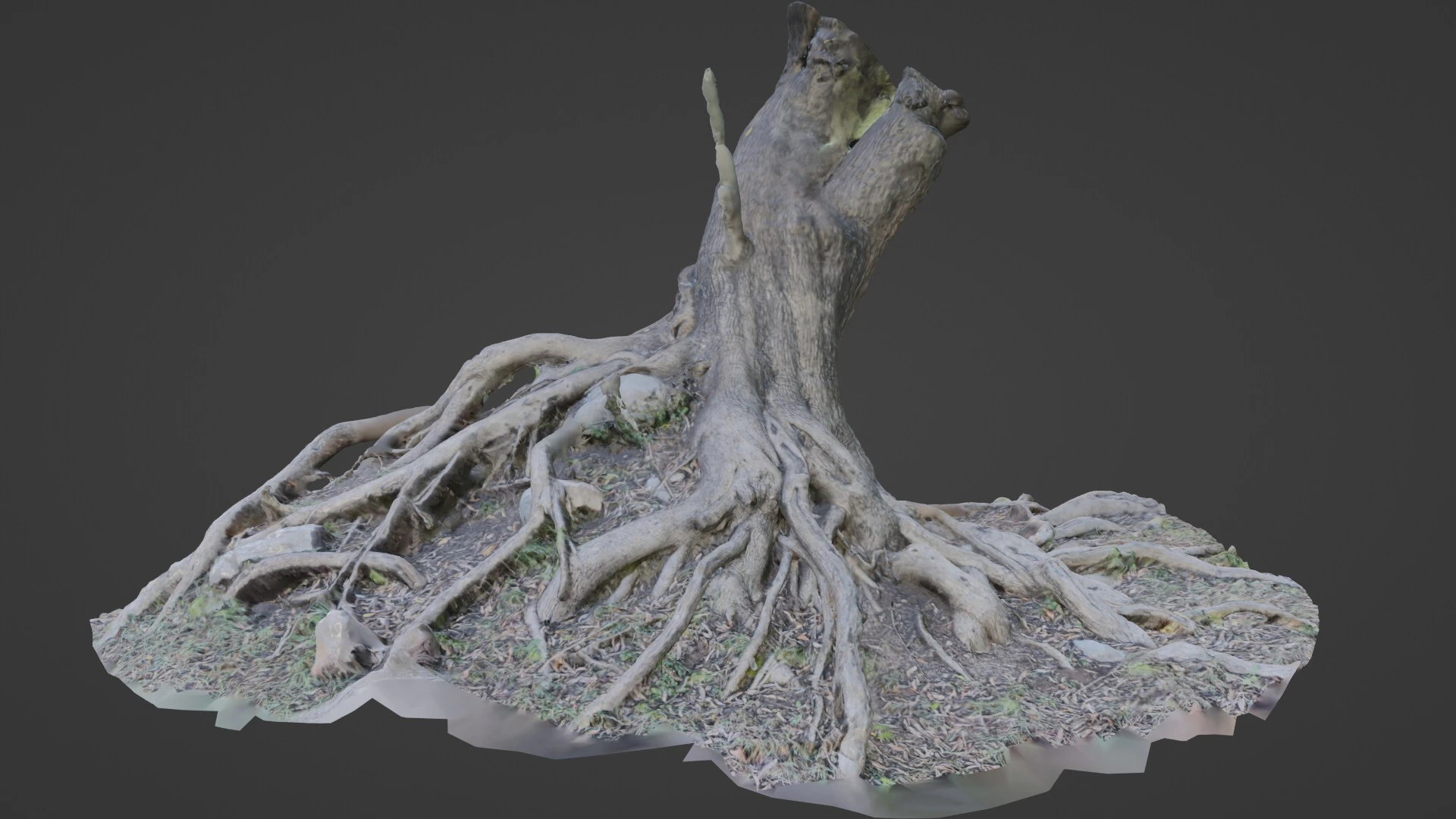 Uprooted tree 3D Model .c4d .max .obj .3ds .fbx .stl .blend