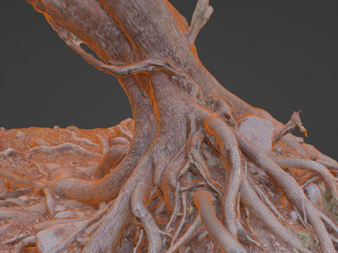 Uprooted tree 3D Model