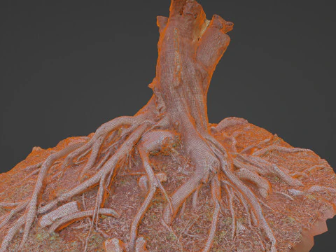 Uprooted tree 3D Model
