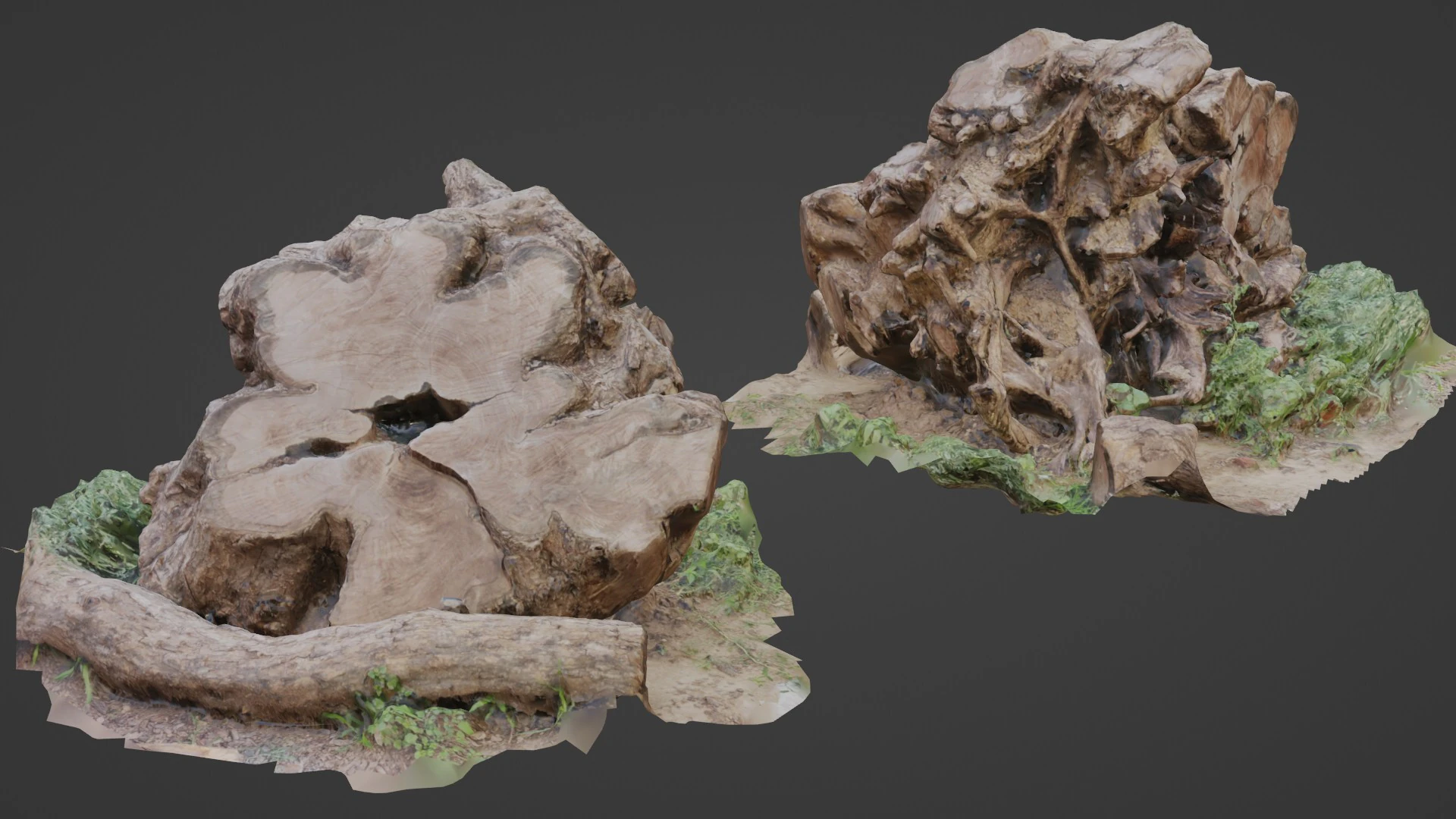 Cutted trunk roots 3D Model .c4d .max .obj .3ds .fbx .stl .blend 