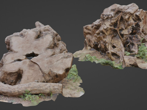 Cutted trunk roots 3D Model