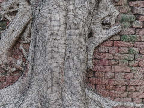 Tree with Wall 3D मॉडल