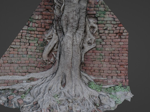Tree with Wall 3D मॉडल