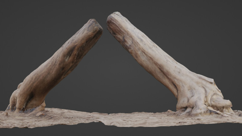 Scan trunk Model 3D .c4d .max .obj .3ds .fbx .stl .blend