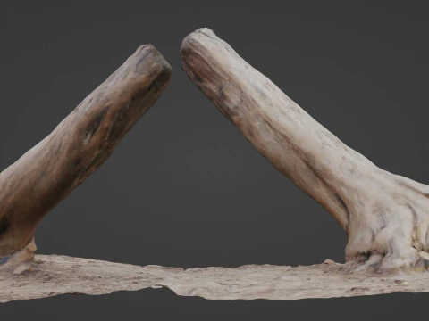 Сканировать багажник 3D Модель