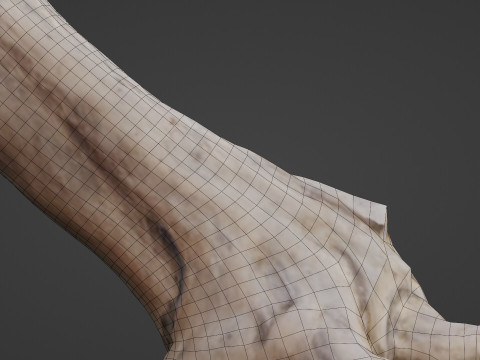 Scan trunk Model 3D