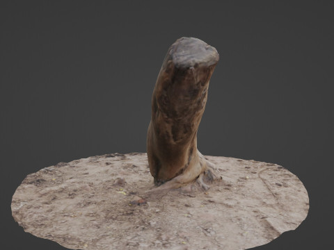 Scan trunk Model 3D