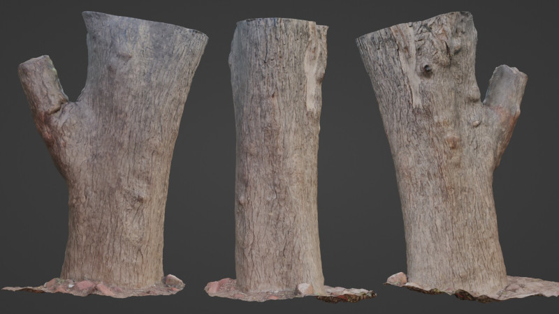 Tree Modèle 3D .c4d .max .obj .3ds .fbx .stl .blend