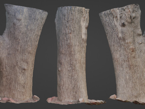 Tree 3D Модель