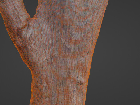 Tree Modèle 3D