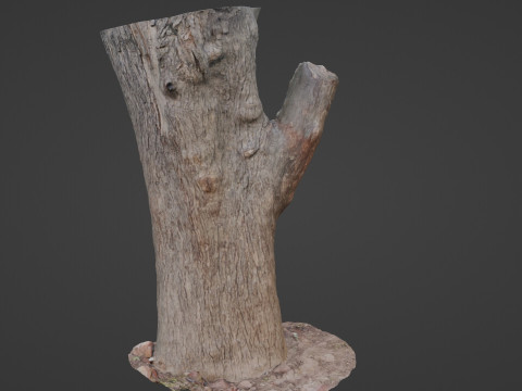 Tree Modèle 3D
