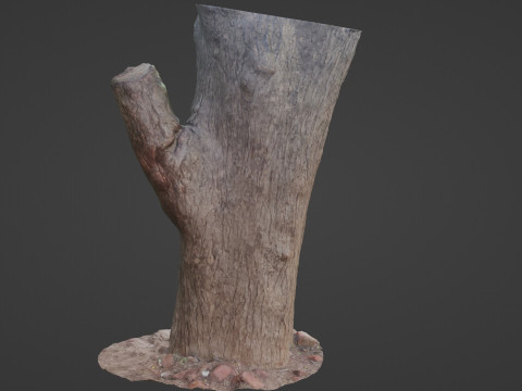 Tree Modèle 3D