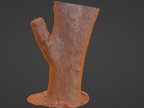 Tree Modèle 3D