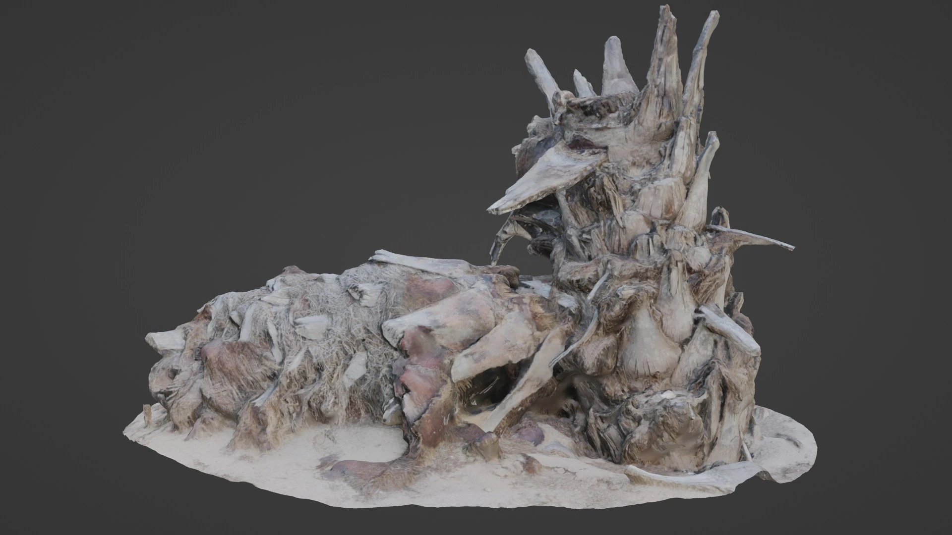 Abandoned palm tree 3D Model .c4d .max .obj .3ds .fbx .stl .blend