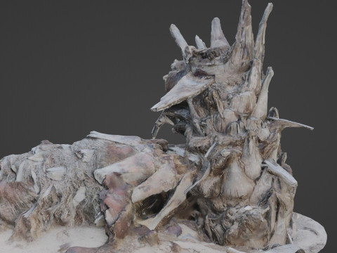 Abandoned palm tree Modelo 3D