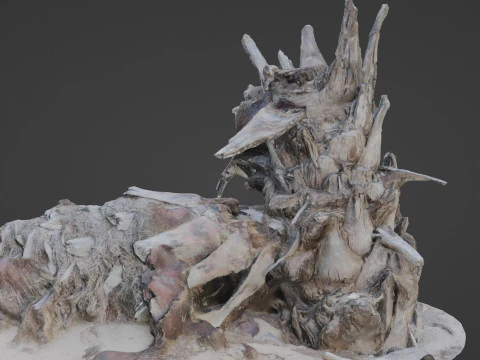 Abandoned palm tree 3D Model