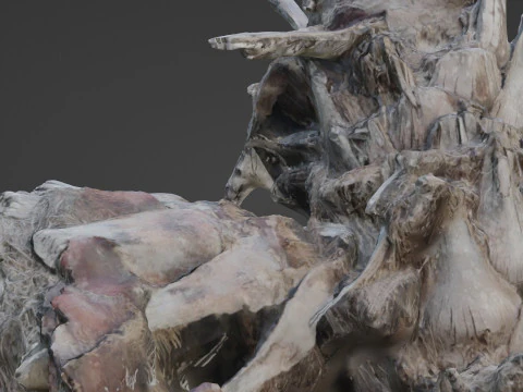 Abandoned palm tree 3D Model