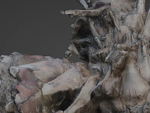 Abandoned palm tree 3D Model