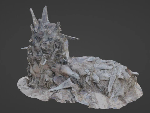 Abandoned palm tree 3D Model
