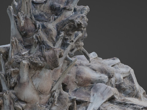 Abandoned palm tree Modelo 3D