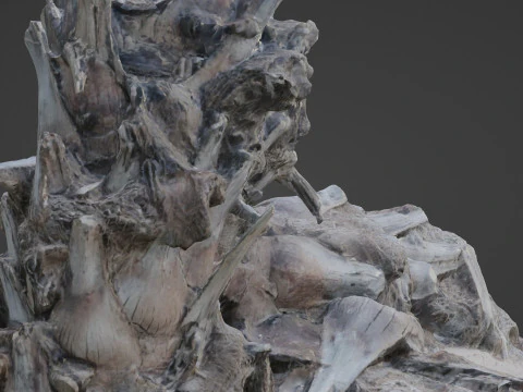 Abandoned palm tree 3D Model