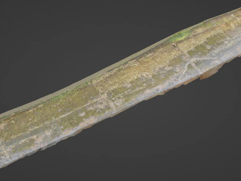 Kust bemoste pad 3D Model