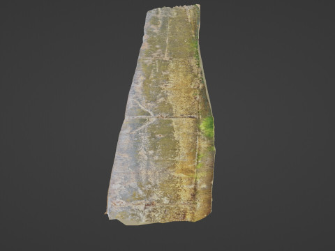 Seashore mossy path 3D-Modell